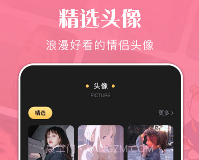 狗头大贴图v1.10截图