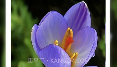 宜植惠v1.0.7截图