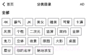 右右壁纸屋v1.9截图