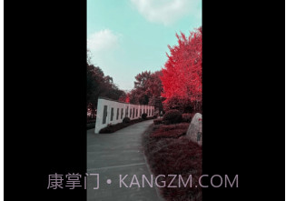 幻熊滤镜剪辑v1.7截图