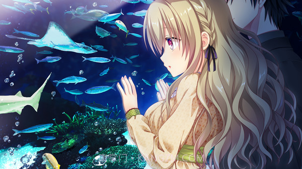 IxSHE Tell中文版v1.0.9截图