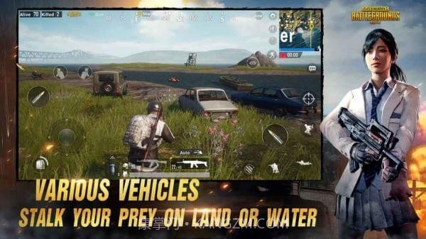pubg mobile lite印度服v1.12截图