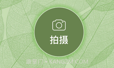 一叶识木v3.14截图