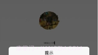 Mint举报助手V1.7截图