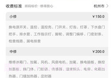 闪修网中文版v1.0.8截图
