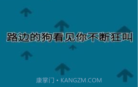 自信训练器v2.00.14截图
