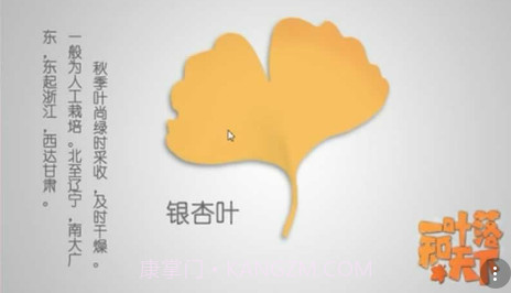 一叶落知天下v1.15截图