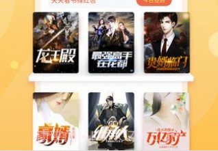 悦言小说v2.4.15截图