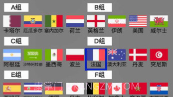 赛博足球世界冠军杯v0.15截图