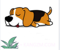 时间戳相机水印v1.13截图