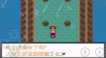 口袋妖怪暗兽神V1.12截图