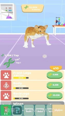 动物进化实验1.9截图