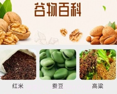 绿色菜园子v1.3.12截图