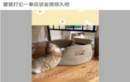 Rocom短视频v2.8.15截图