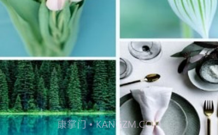 青青草助手v1.0.20截图