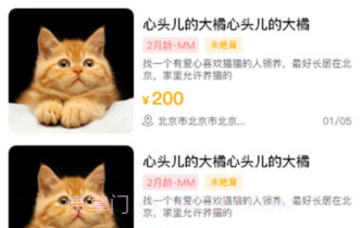 喵鑫球宠物v1.0.13截图
