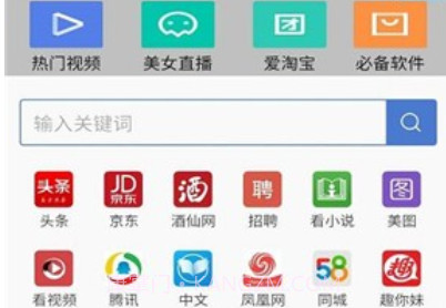 爱看浏览器v2.10截图