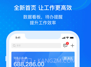 金蝶云星空系统v1.0.12截图