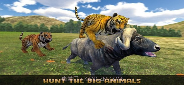 the lion familyv1.12截图