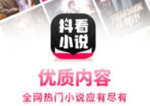 抖看小说v1.14截图