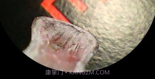 洁世家健康v6.13截图