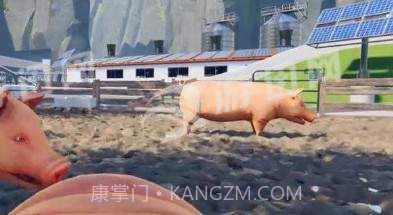 自己是一只猪1.4截图