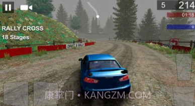 冠军拉力赛v2.13截图