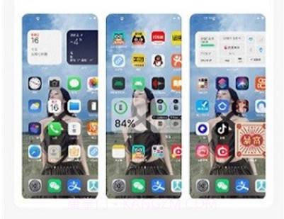 主题库pro安装包v9.10截图