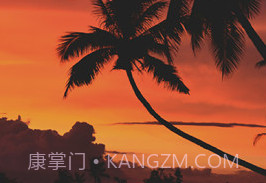 照片水印v 2.31.18截图