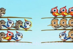 百鸟齐飞v1.0.12截图