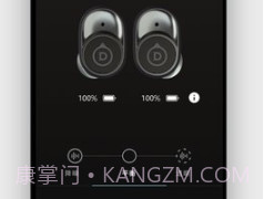 Devialet Geminiv1.11截图