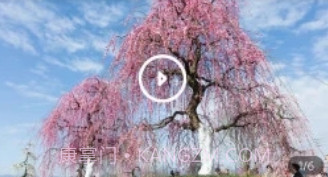 问花之家v1.0.9截图