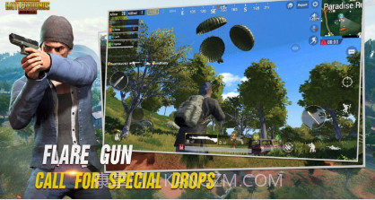 pubgmobile2024v2.6.11截图
