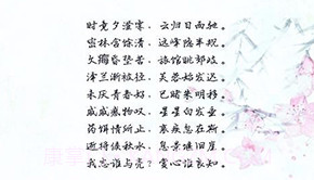 古典文言文鉴赏(中国古代诗歌散文古典文言文鉴赏) 安卓最新版V1.1.12截图