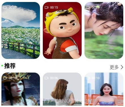 飞花动态壁纸v1.1.17截图