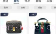 掌商奢汇v1.0.17截图