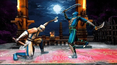 功夫忍者战斗v1.12截图