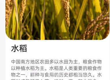 农田拾光v1.0.12截图