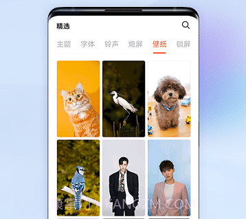 i主题手机版v9.8.0.12截图