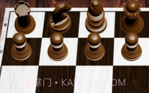 国际象棋双人v.2.11截图