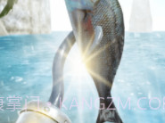 海盗钓鱼v0.16截图