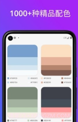 色卡配色v1.14截图