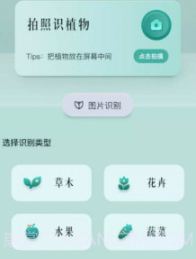 小黄养花v1.17截图