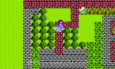 fc勇者斗恶龙3V1.1.13截图