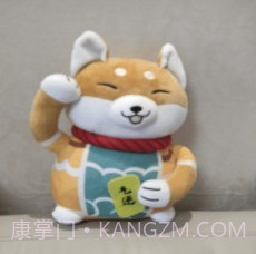 小龙透明屏幕v2.4.10截图