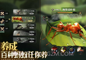 小小蚁国单机版v1.55.15截图