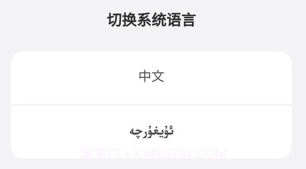 Dilnazv1.0.12截图