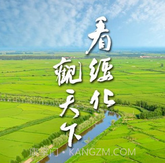 绥时在线v1.9.17截图