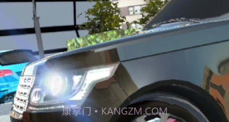 真实停车2021v1.17截图