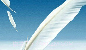 Note2羽毛动态壁纸v1.12截图